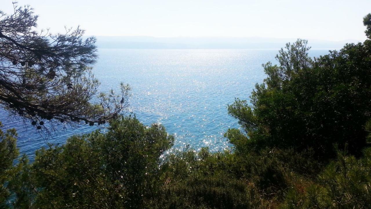 Sea Panorama Villa Mimice Exteriör bild